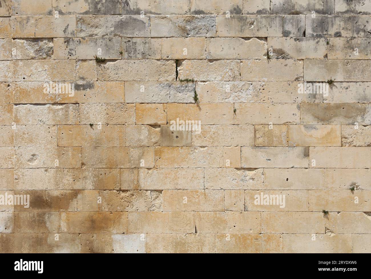 Wall of white travertine adarce stone bricks Stock Photo