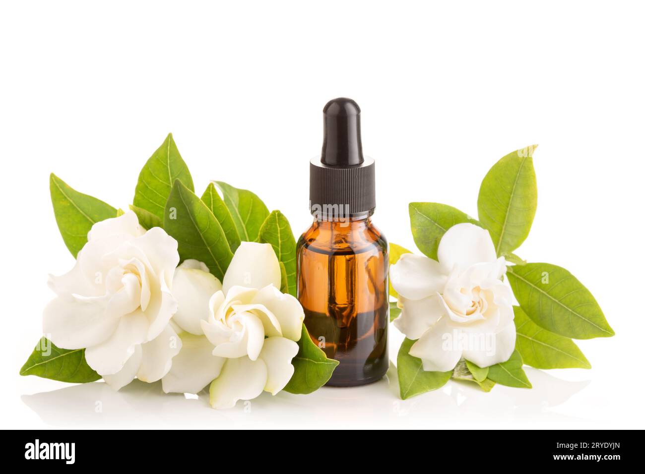 Gardenia essential oil isolated on white background Stock Photo Alamy