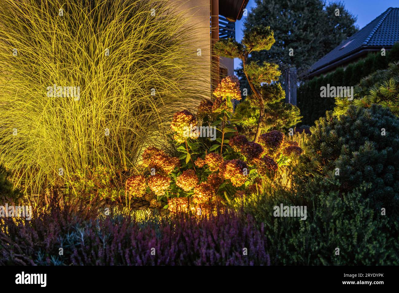 Garden Flowers and Other Plants Illuminated by Outdoor LED Lighting ...