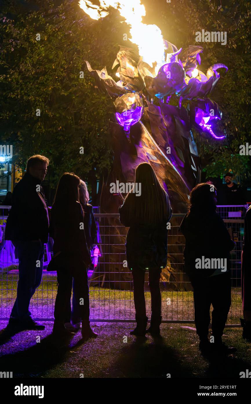 Art & Light Festival. Night Light is celebration of light, art, and