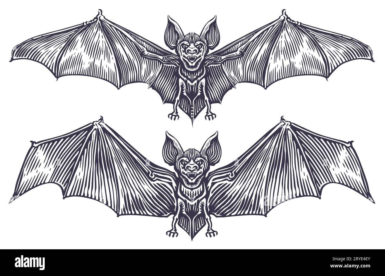 Bat in Gothic style engraving. Vintage sketch vector illustration Stock Vector