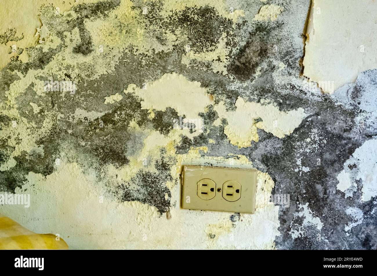 Stripped Paint Wall Stock Photo