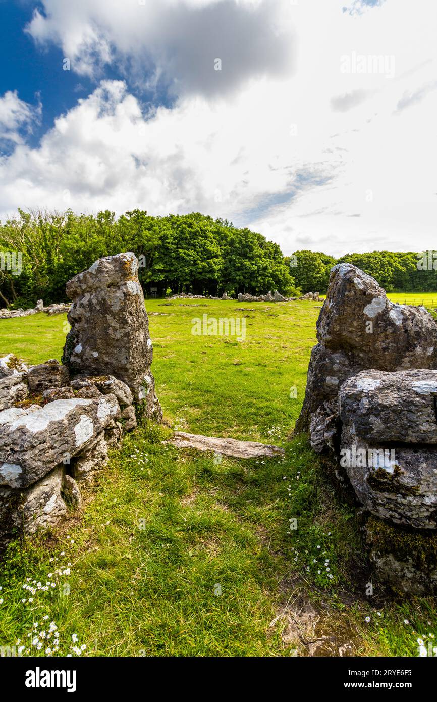 Stone entrance in Remains of Din Lligwy, or Din Llugwy ancient village, Near Moelfre, Anglesey, North Wales, UK, portrait. Stock Photo