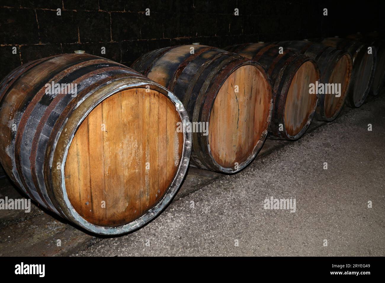 Rows of oak wood wine barrels in winery cellar Stock Photo - Alamy