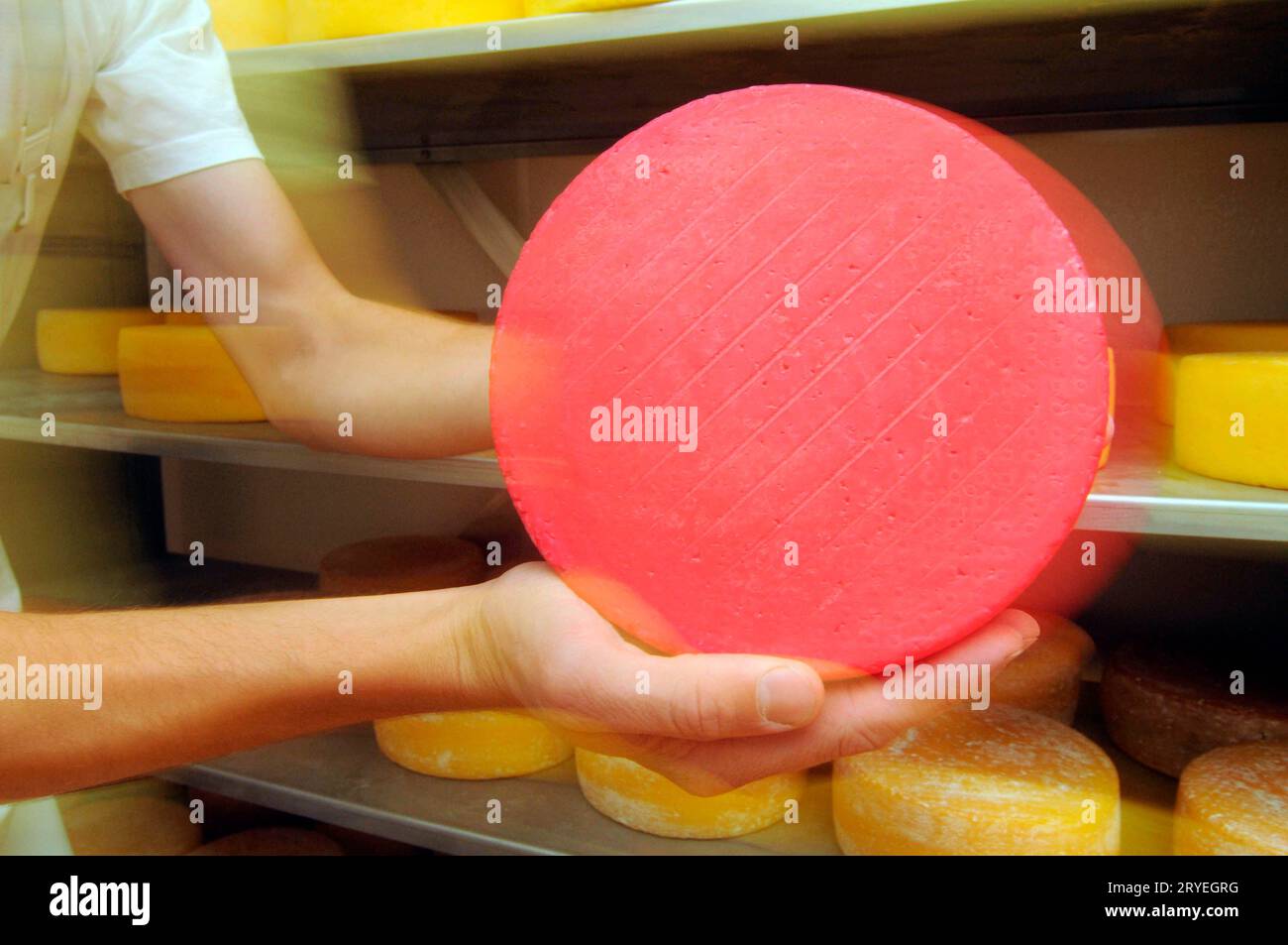 Storage and maturation of cheese Stock Photo Alamy