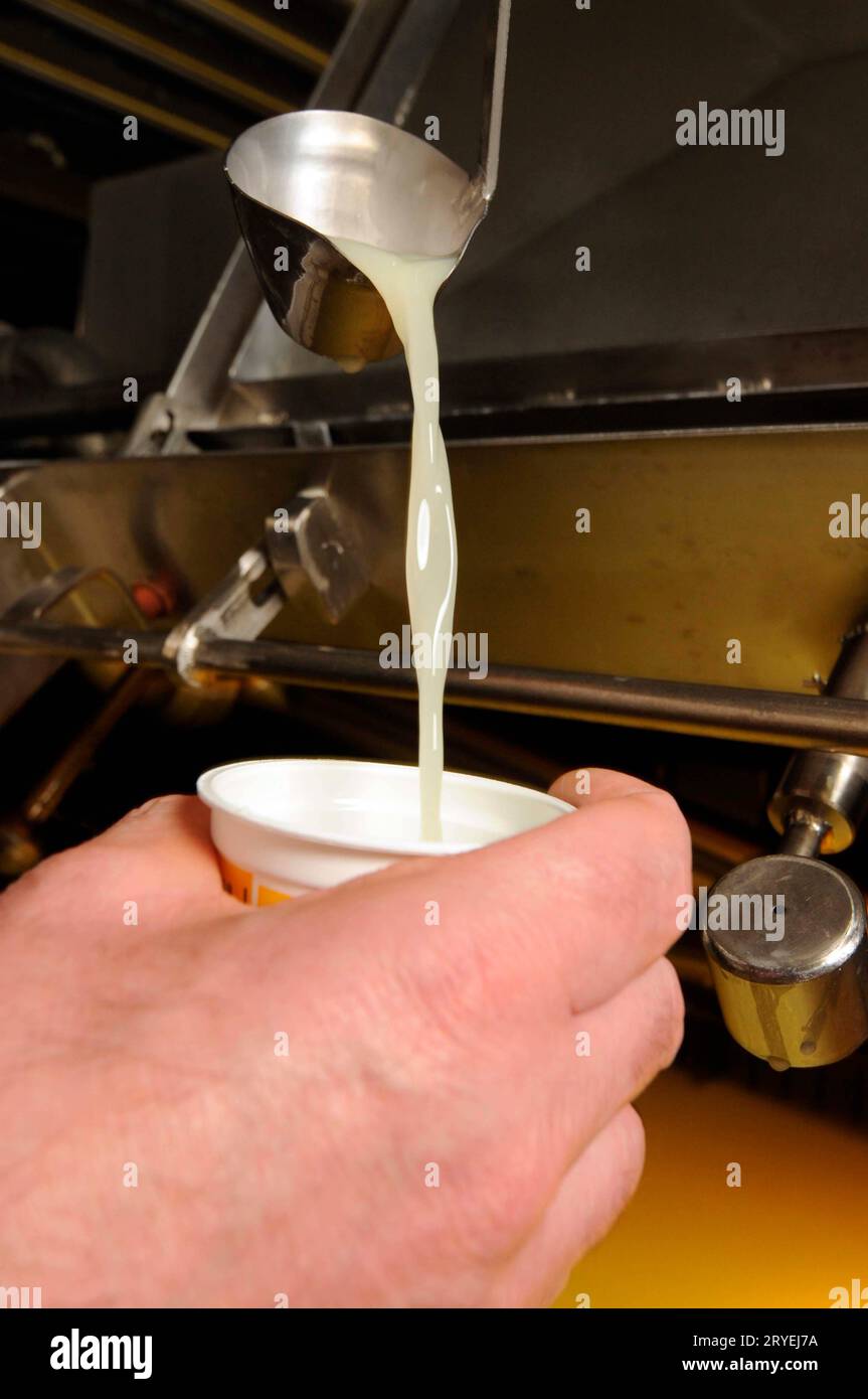 Pouring cow's milk into cup Stock Photo - Alamy