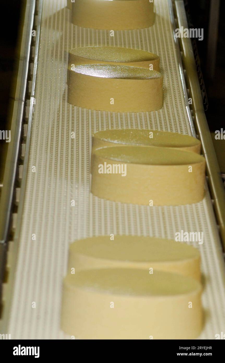 Cheese in industrial food production Stock Photo Alamy