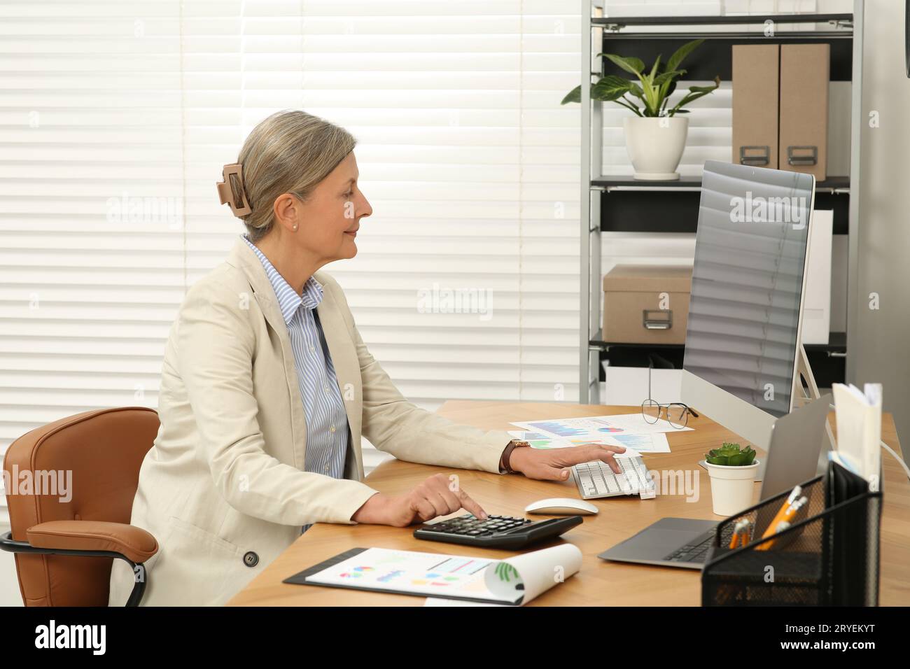 Accountant account senior hi-res stock photography and images - Alamy