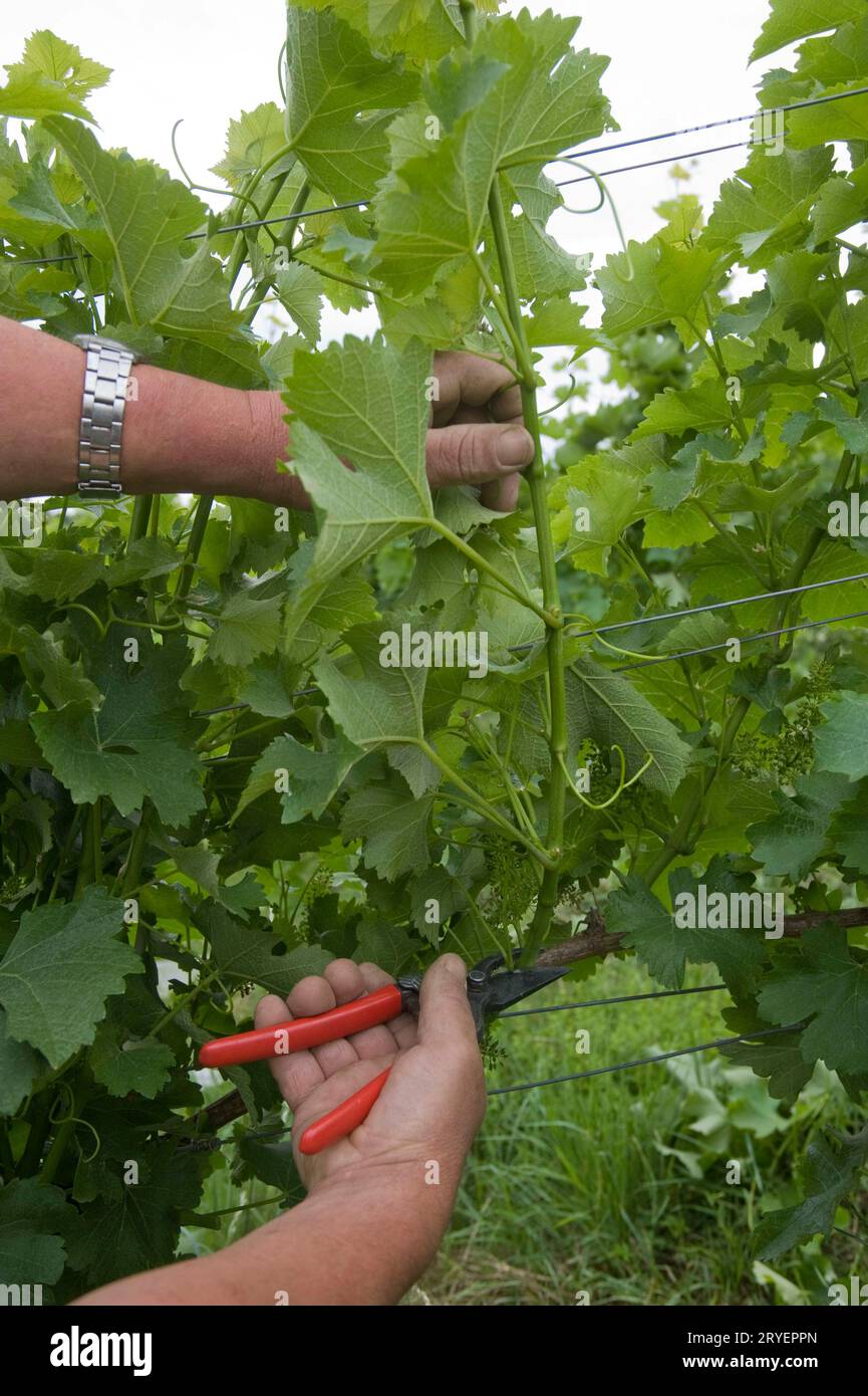 Cutting slopes hi-res stock photography and images - Alamy