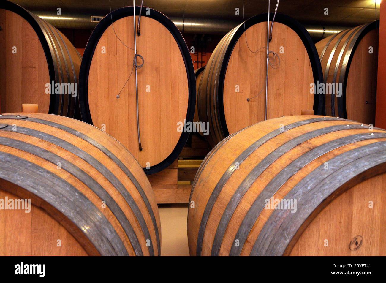 Wooden barrels in wine cellar Stock Photo Alamy