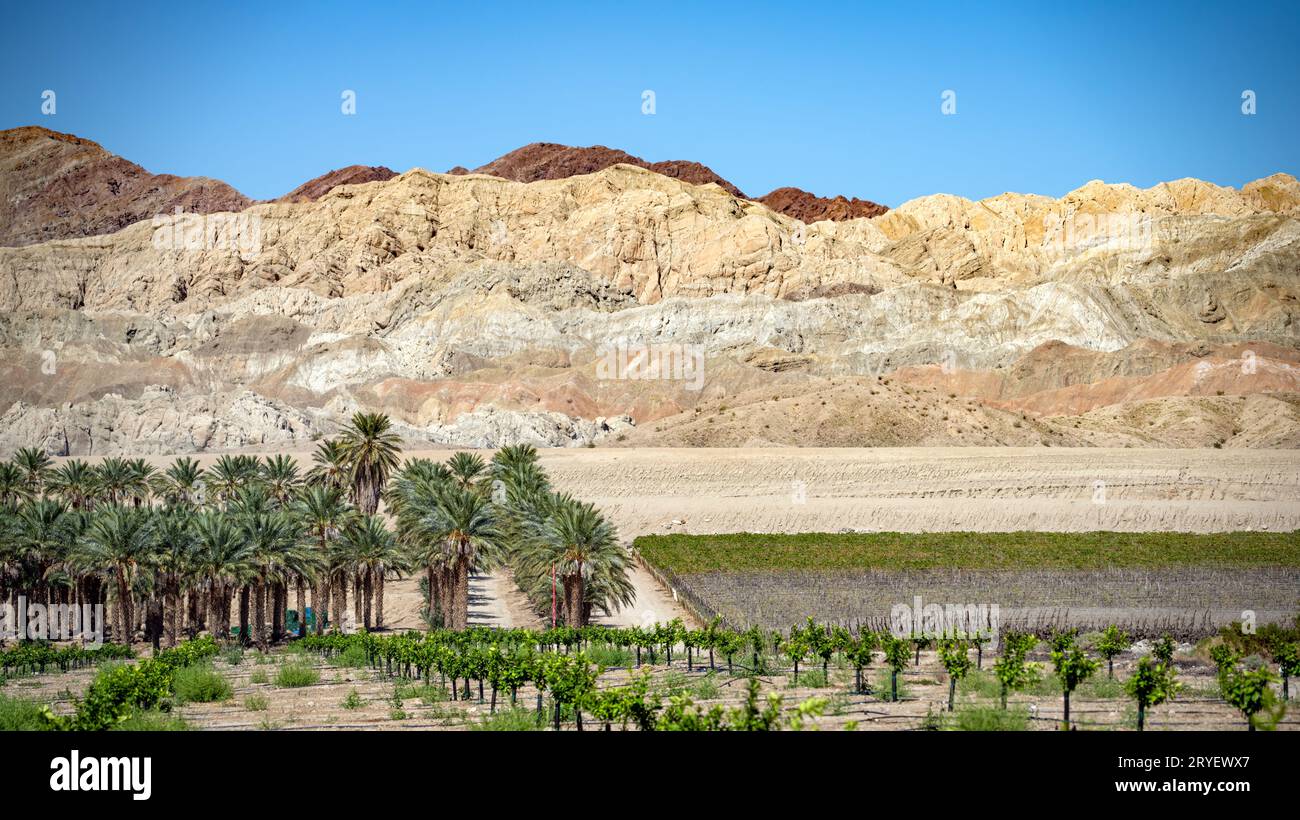 Coachella valley agriculture with dramatic Mecca hills in background