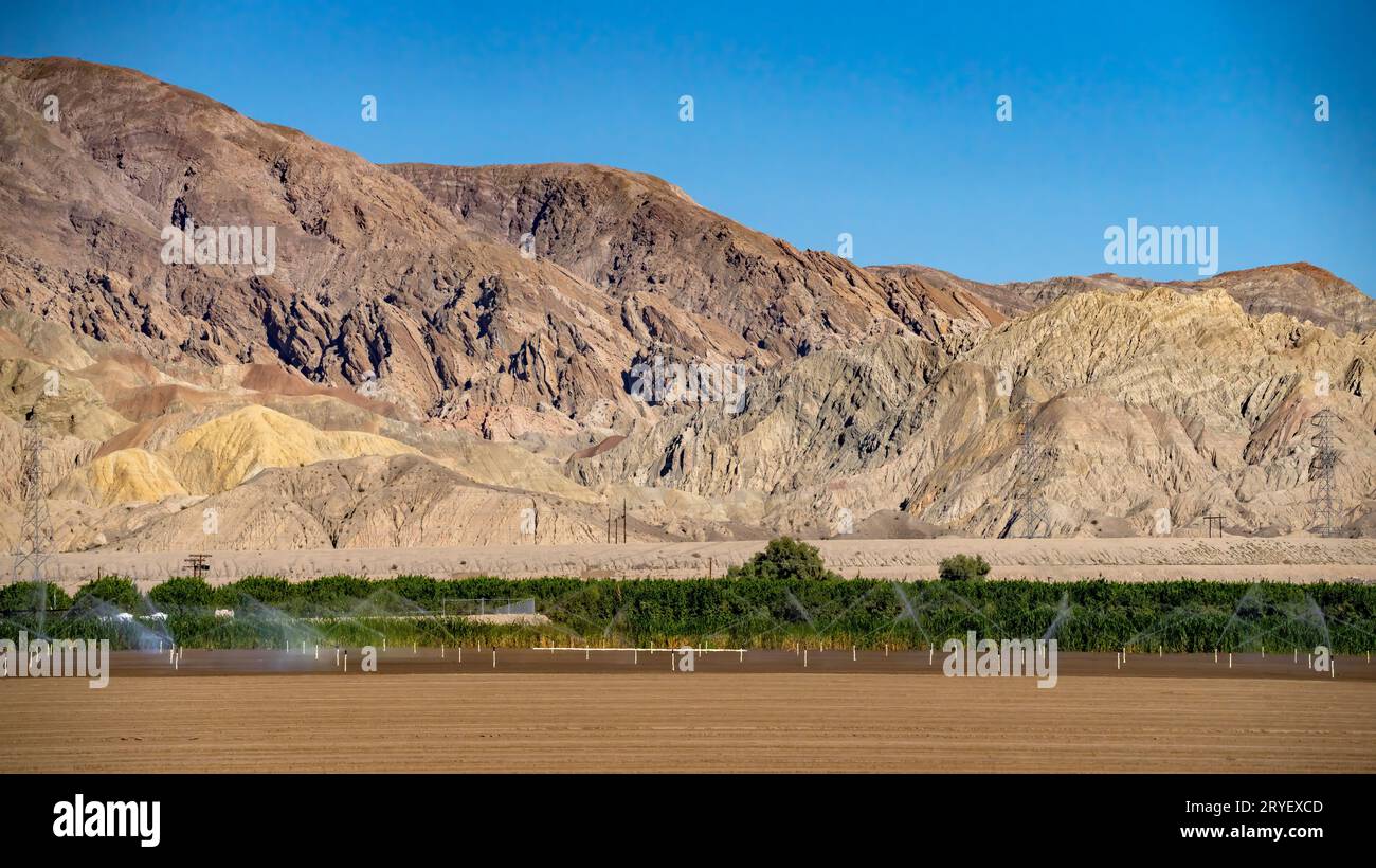 Coachella valley agriculture with dramatic Mecca hills in background