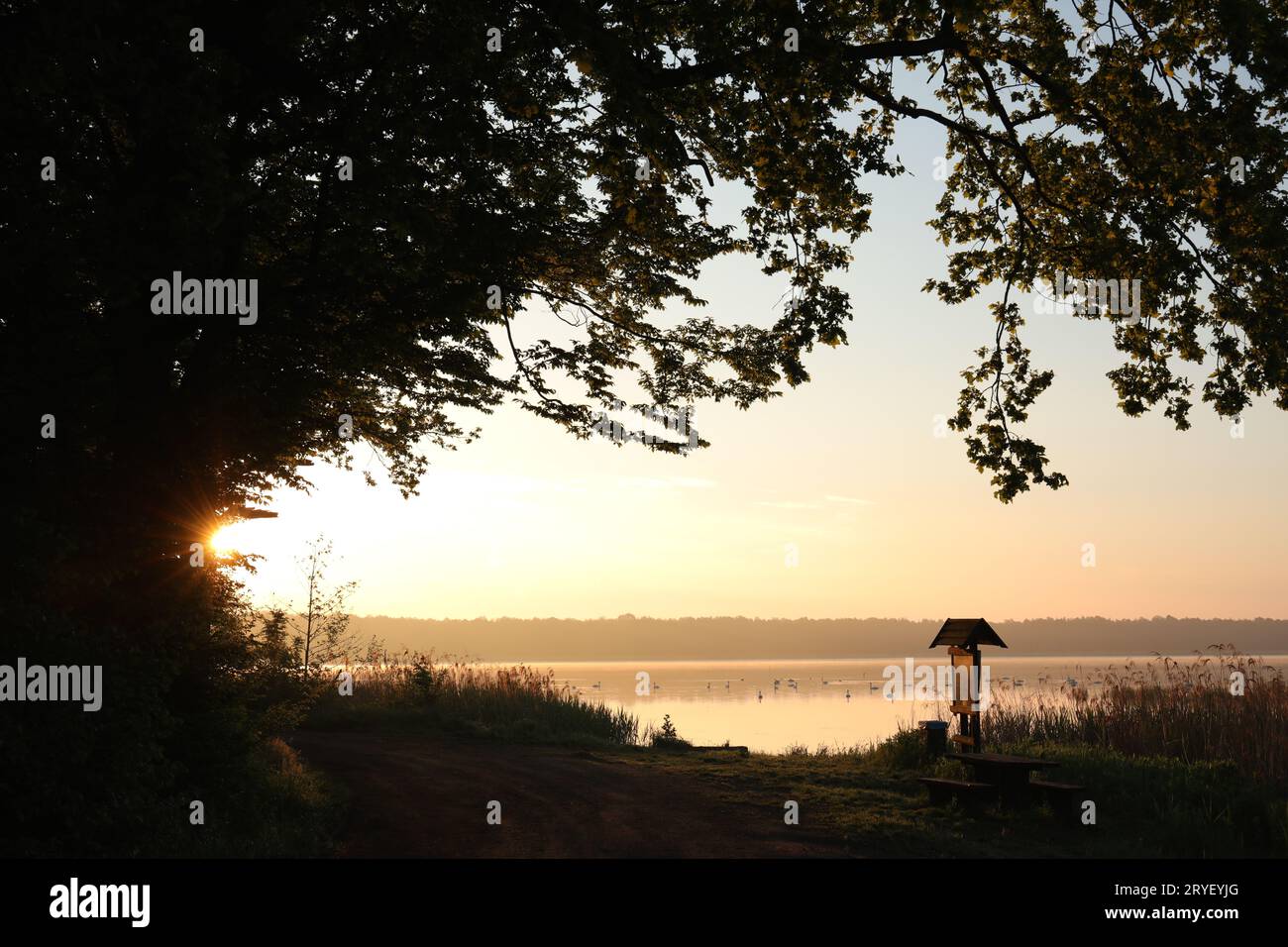 Oak tree sunrise silhouette hi-res stock photography and images - Alamy