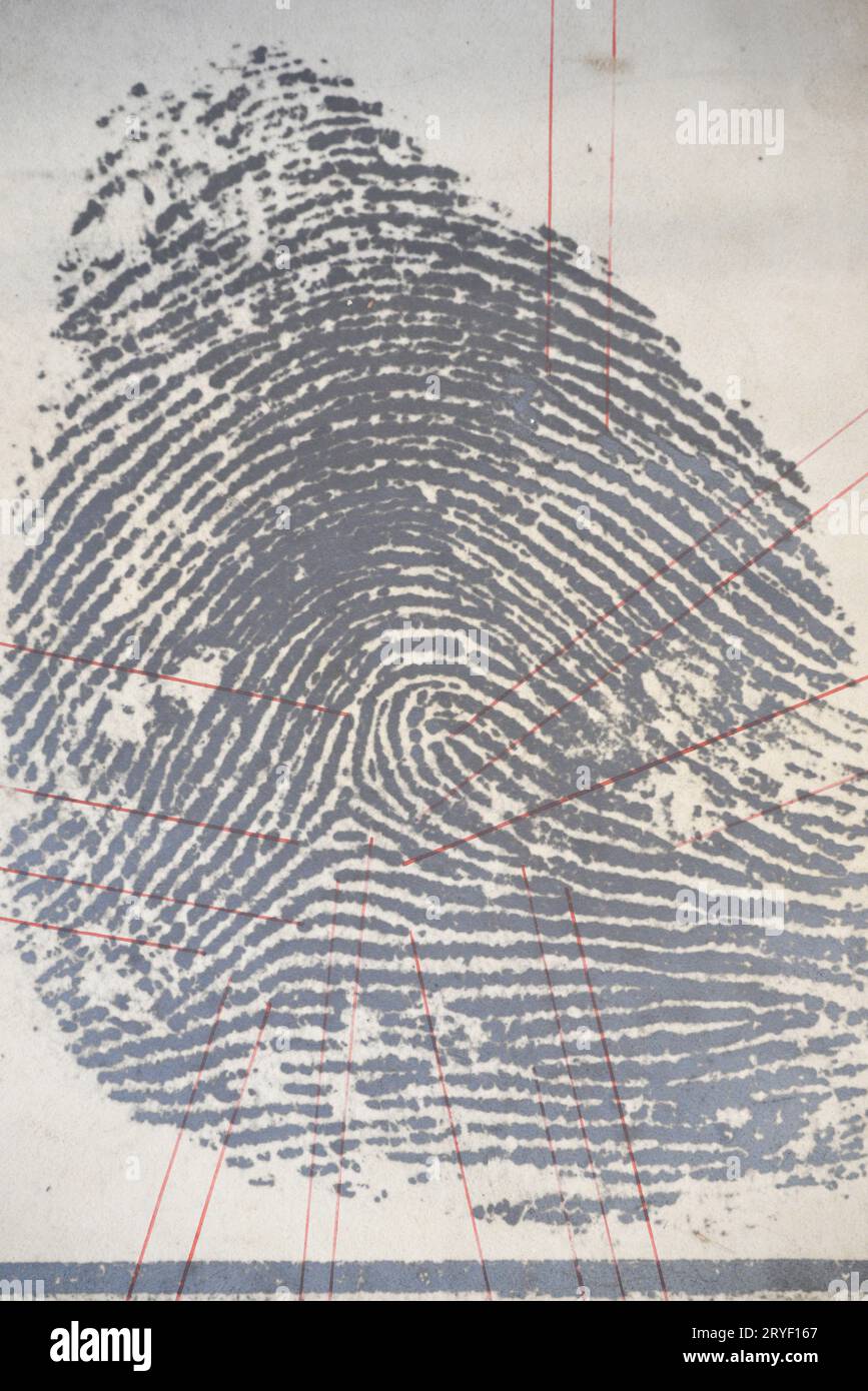 Securing a fingerprint in forensics Stock Photo Alamy