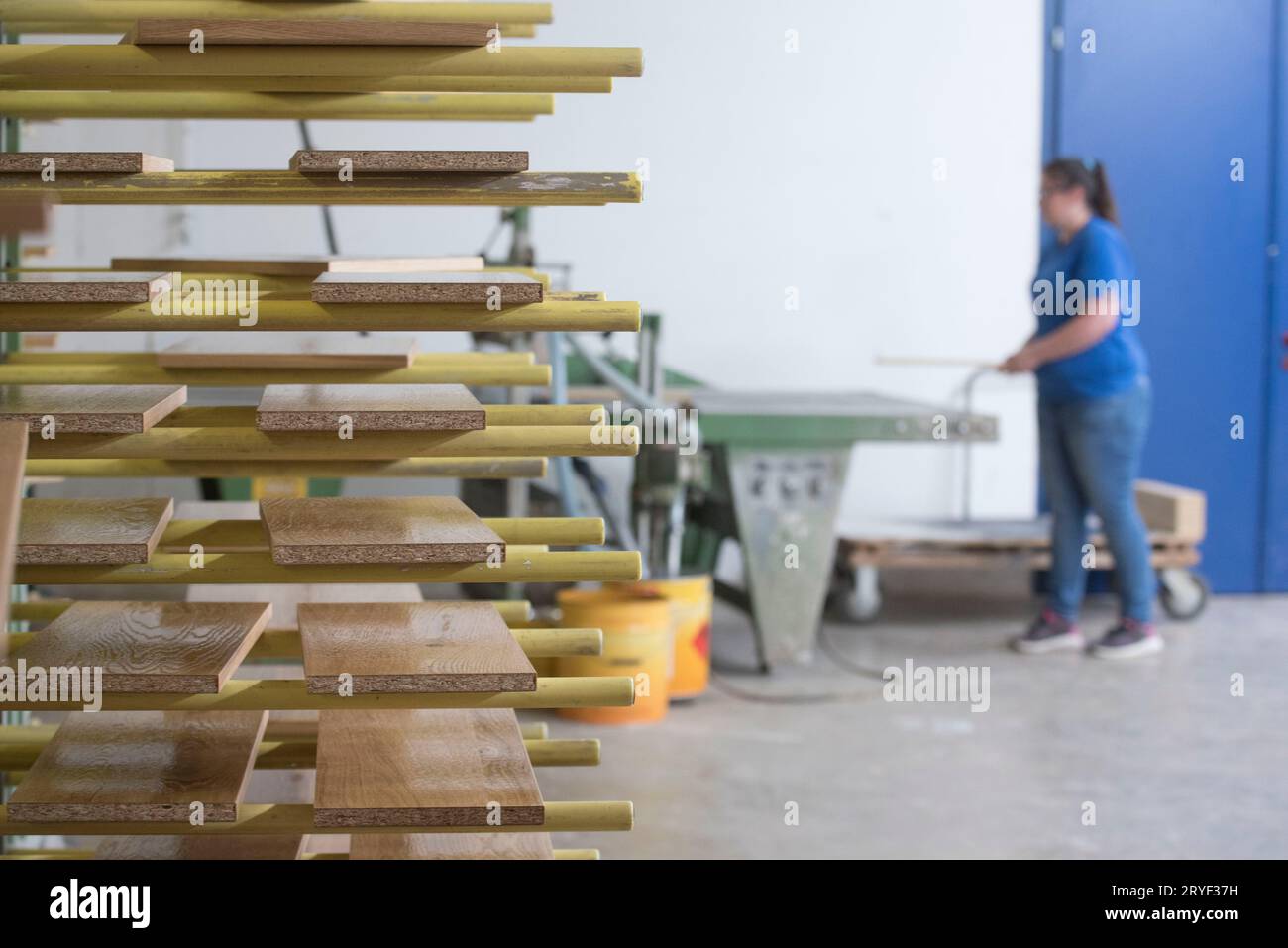 Wooden boards drying after wood gluing Stock Photo Alamy