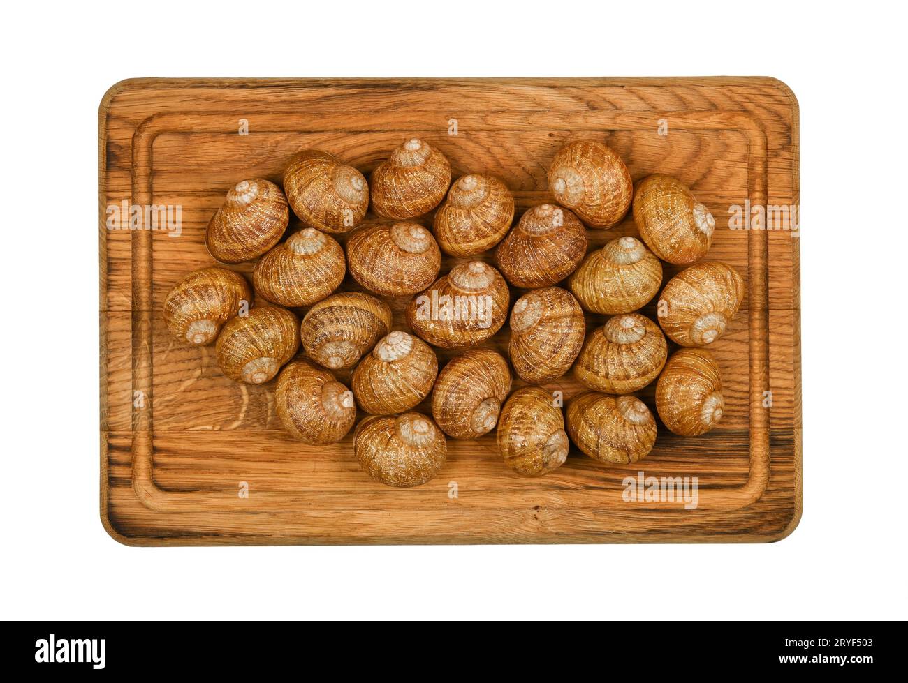 Two dozen of escargot snails on oak wood board Stock Photo