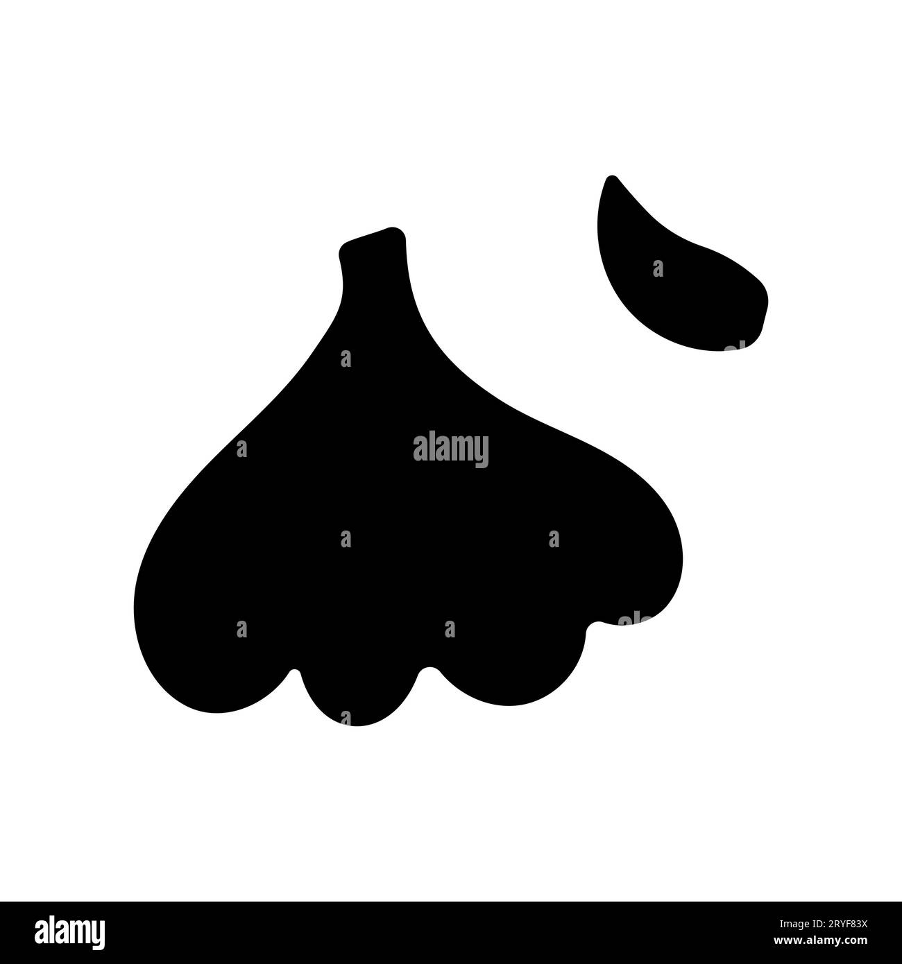 garlic white vegetable clove food black vector Stock Vector Image & Art