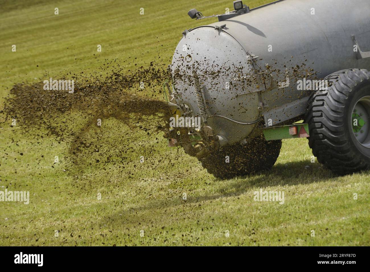 Liquid manure from animals as fertilizer Stock Photo Alamy
