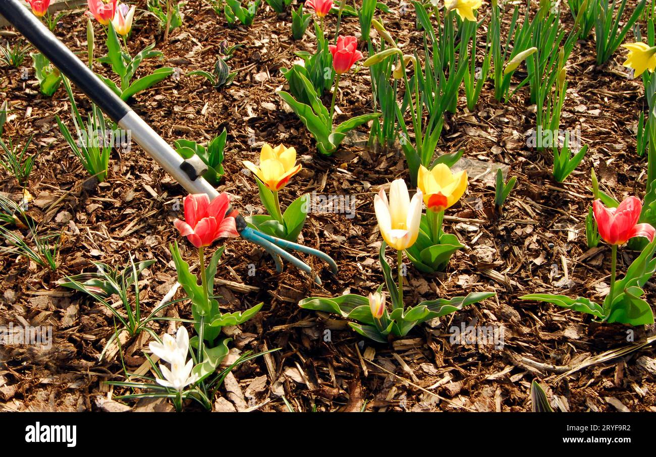 Gardening work in a nursery Stock Photo