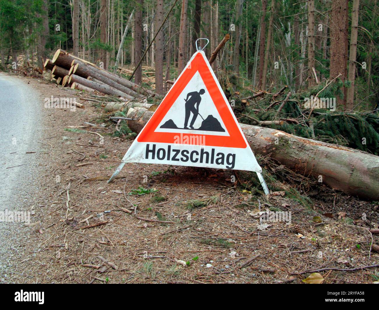 Restricted area sign during woodcutting and logging Stock Photo