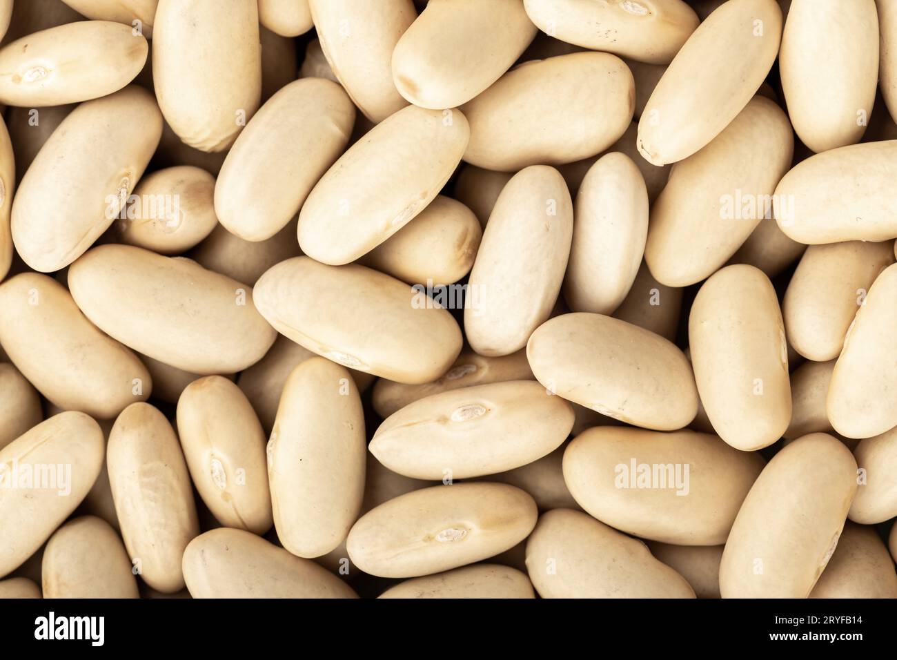White bean background texture. Full frame Stock Photo