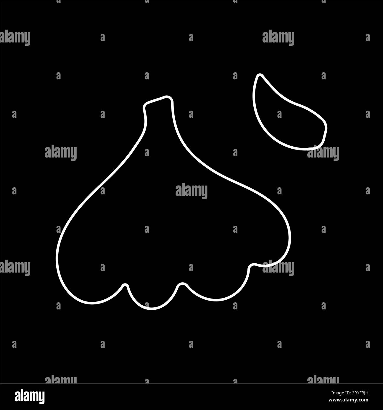 garlic white vegetable clove food line doodle Stock Vector Image & Art