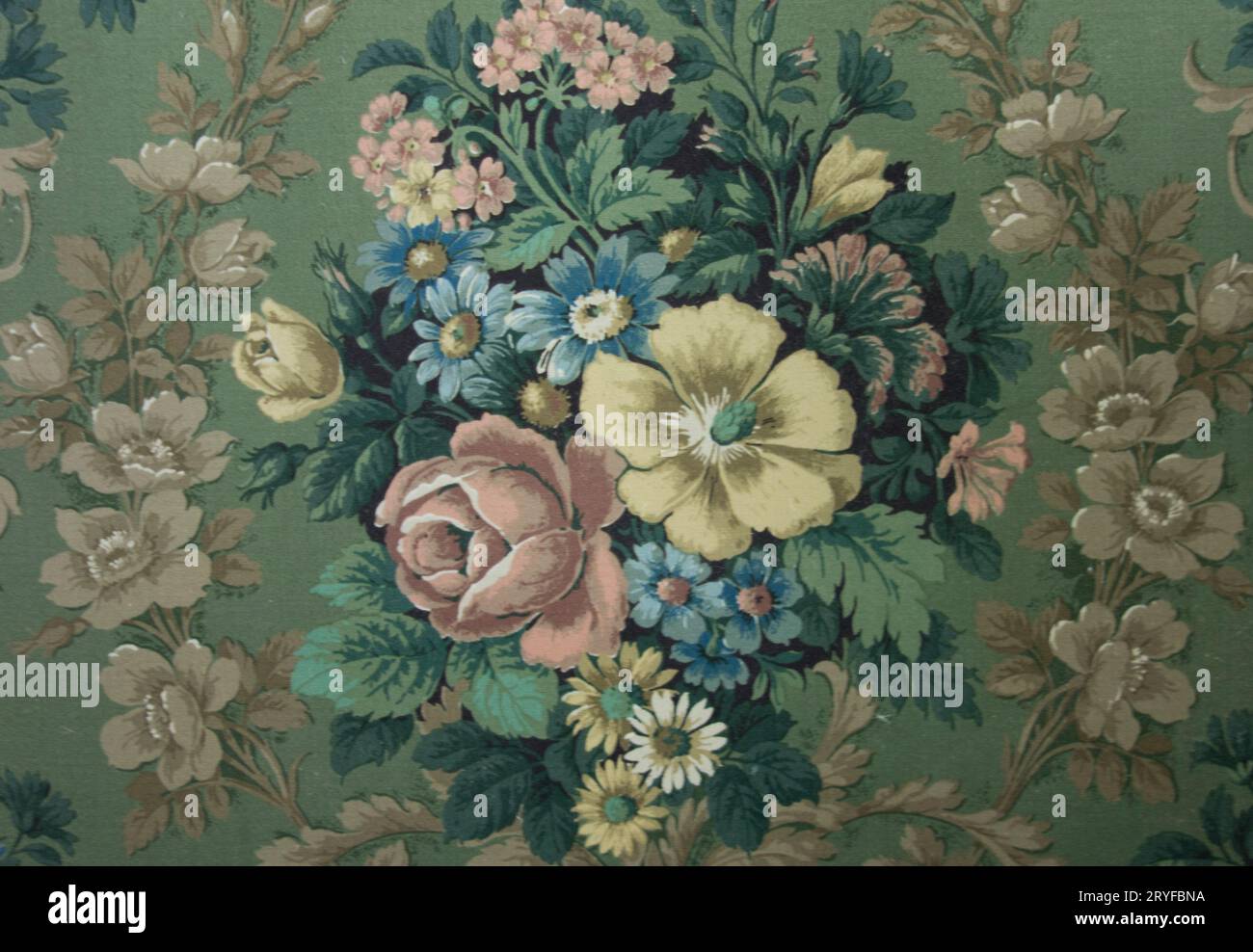 Floral shapes structures and patterns Stock Photo Alamy