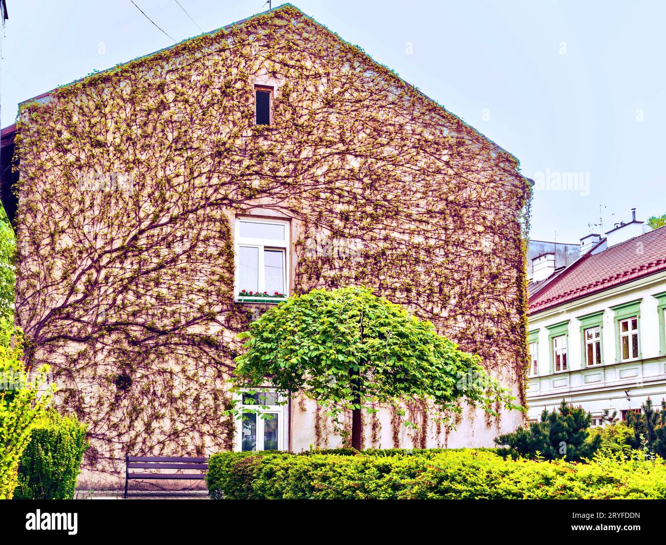 The city of Tarnow is not only the unique beauty of the Old Town, which