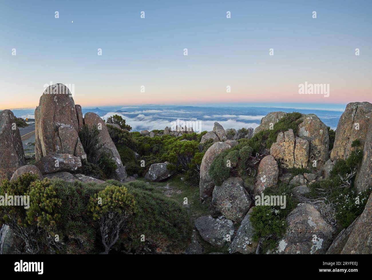 Bank of Dolerite Rocks at the summit of Mt Kunanyi (Mt Wellington) above  the Derwent valley.  Alpine rocks surround the stones, a bank of cloud below. Stock Photo