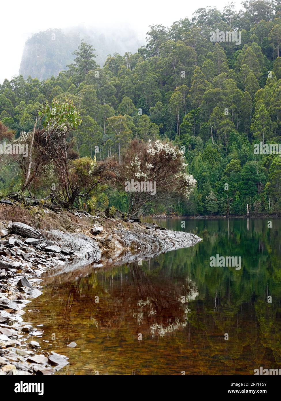 Lake MacKintosh in the West Coast of Tasmania a dam used for hydro