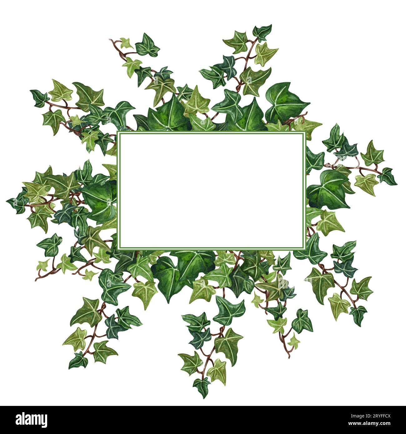 Floral frame from ivy twig. Hand painted wreath green ivy leaves ...
