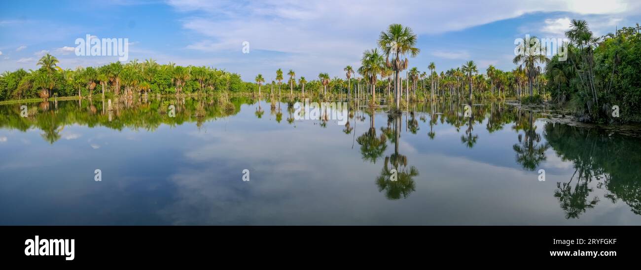 Panorama of a natural paradise Lagoa das Araras (Ara lagoon) in Bom Jardim, Mato Grosso, Brazil Stock Photo