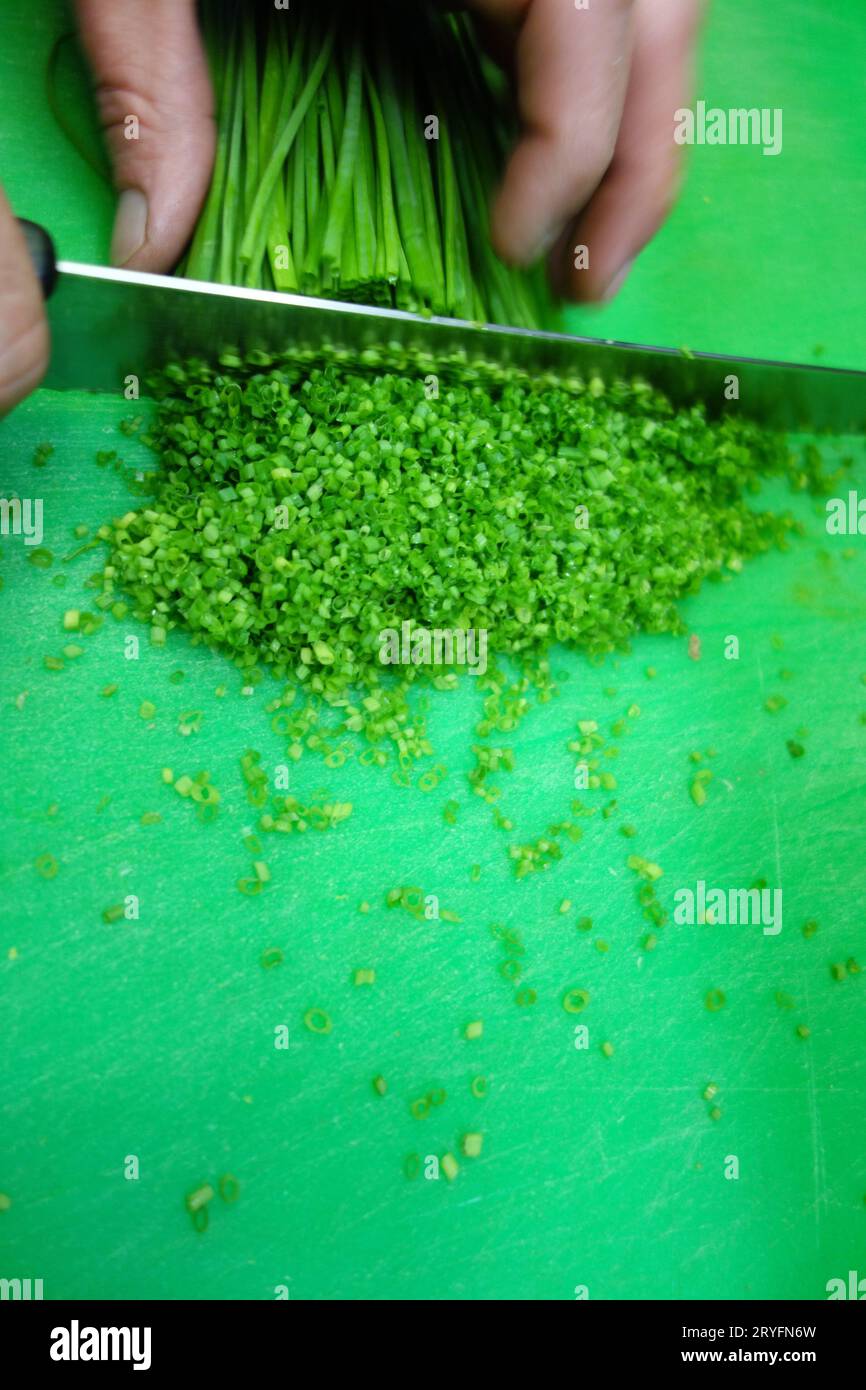 Chives, a herb used in cooking Stock Photo - Alamy