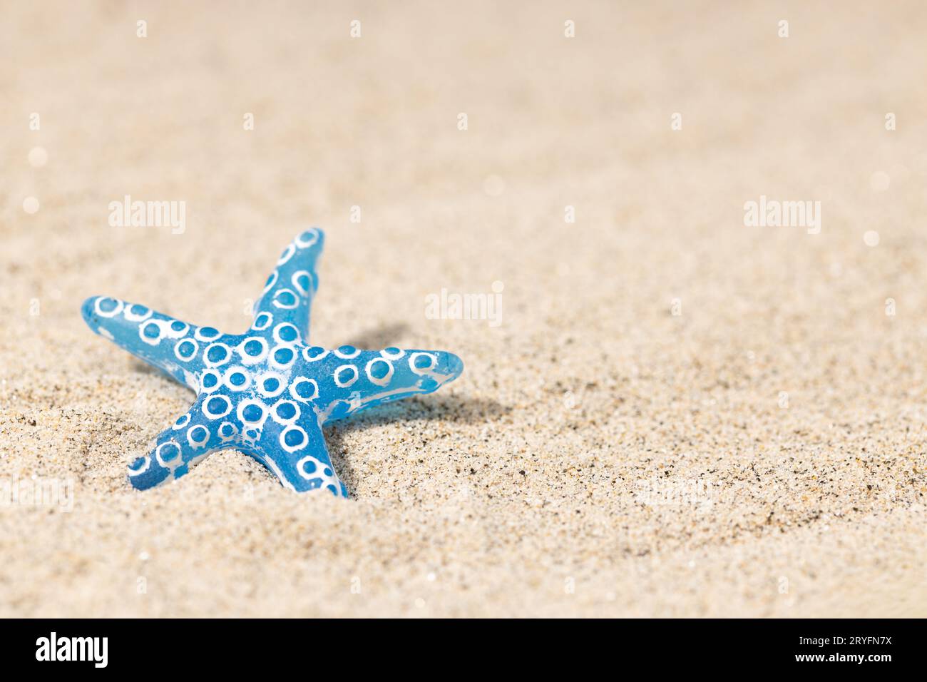 Summer background with blue seashell on beach sand background. Copy space Stock Photo