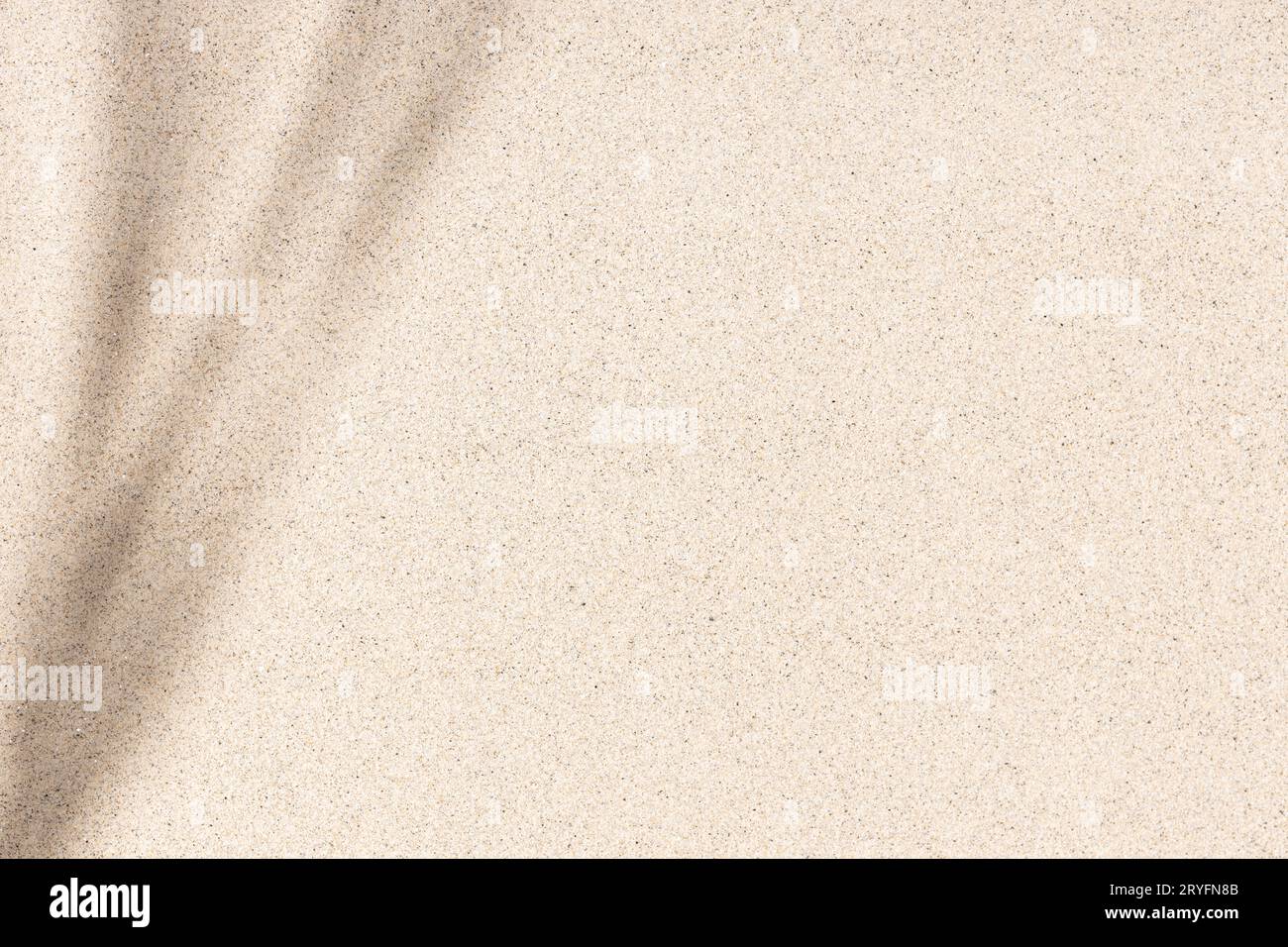 Beach Sand background texture with leaves shadow. Flat Sandy beach. Top view Stock Photo
