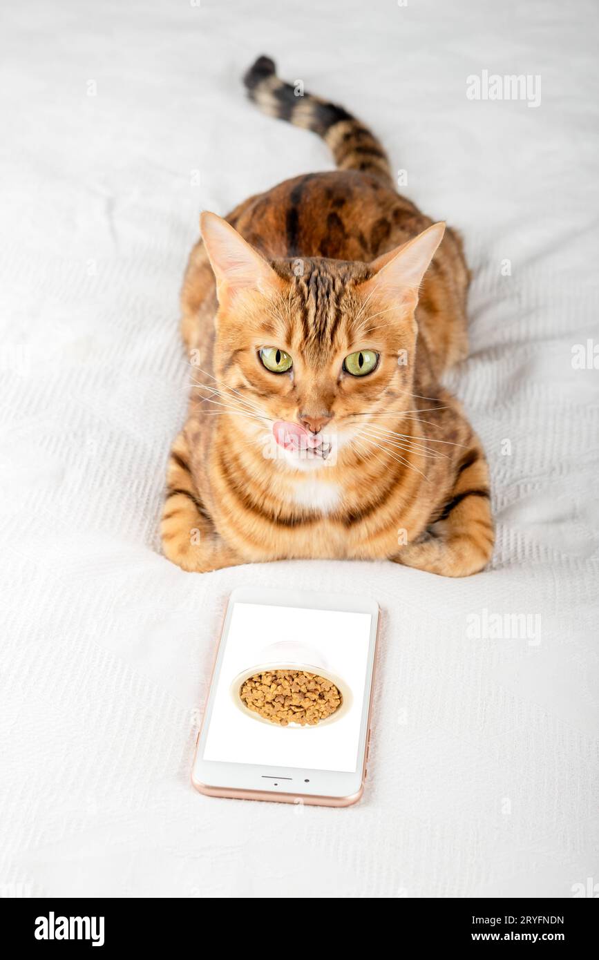Farmers market clearance dry cat food