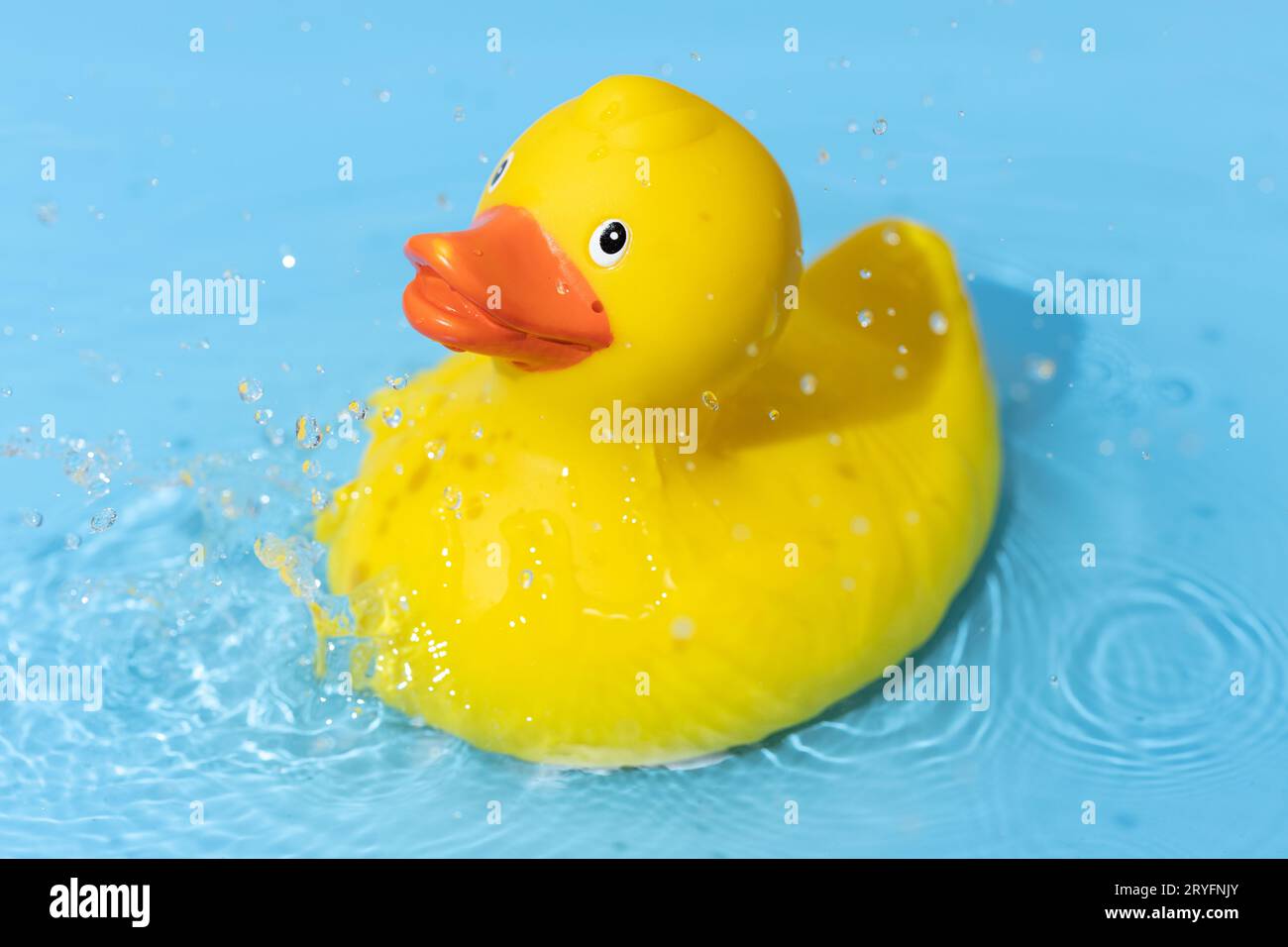 Yellow rubber duck on blue water background with splashing droplets ...