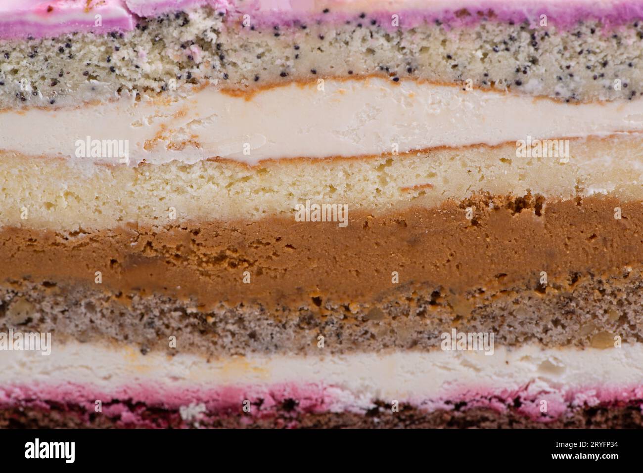 Close up shot of half fruit cake slice. Stock Photo