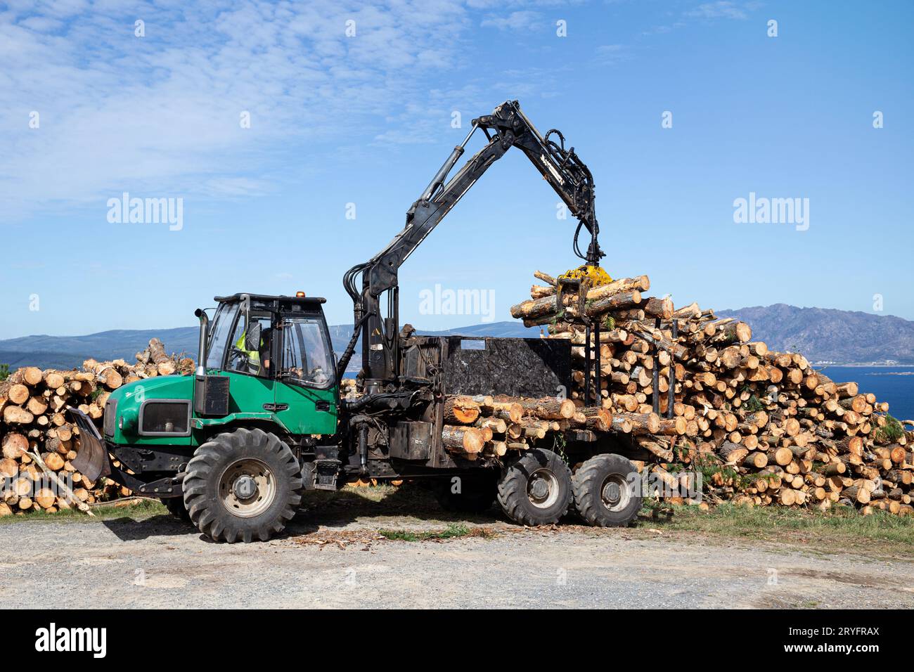Forest log truck tree harvester unloading tree logs. Forest industry Stock Photo