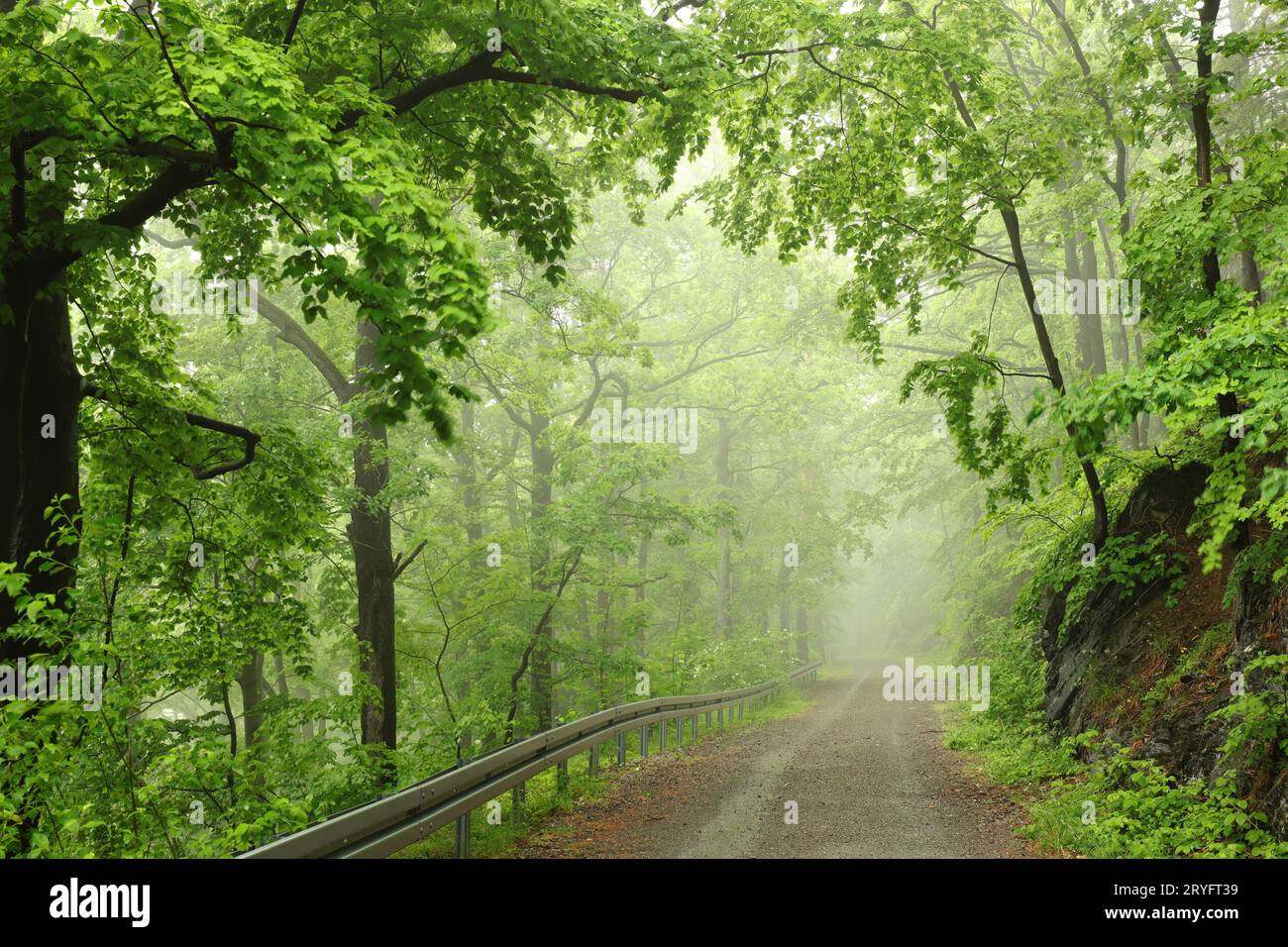 Mist spring hi-res stock photography and images - Alamy