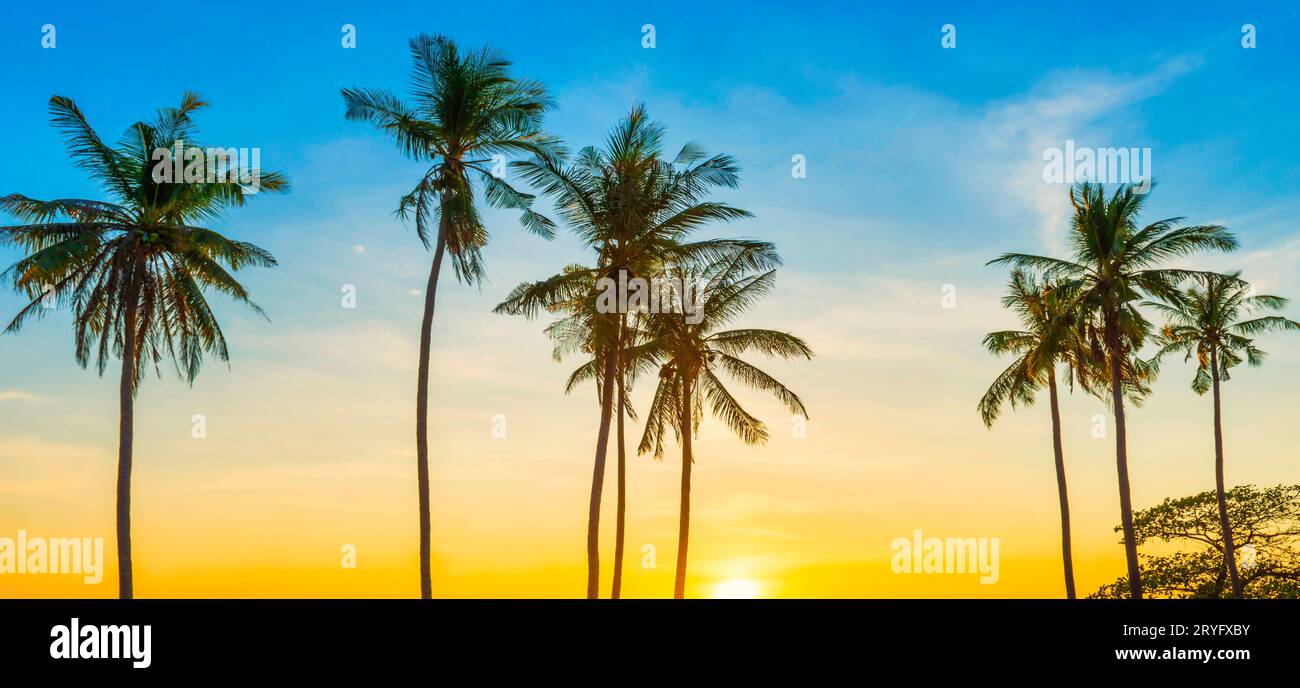 Hawaii sunset palm trees red hi-res stock photography and images - Alamy