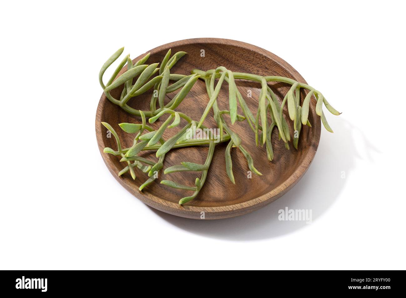 Fresh Sea fennel leaves on wooden plate isolated on white background. Crithmum maritimum Stock Photo