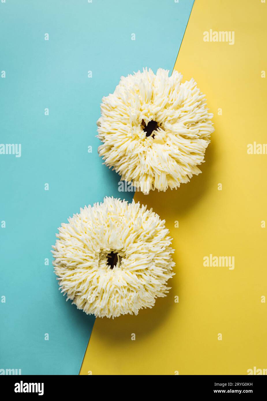 Shag donuts on blue-yellow background, copy space Stock Photo