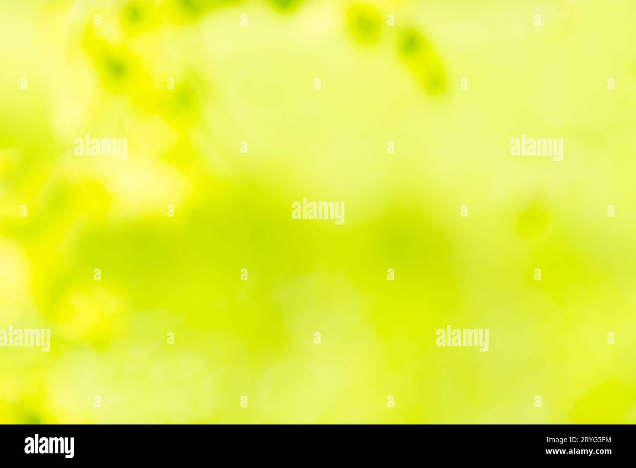 Blur nature background hi-res stock photography and images - Alamy