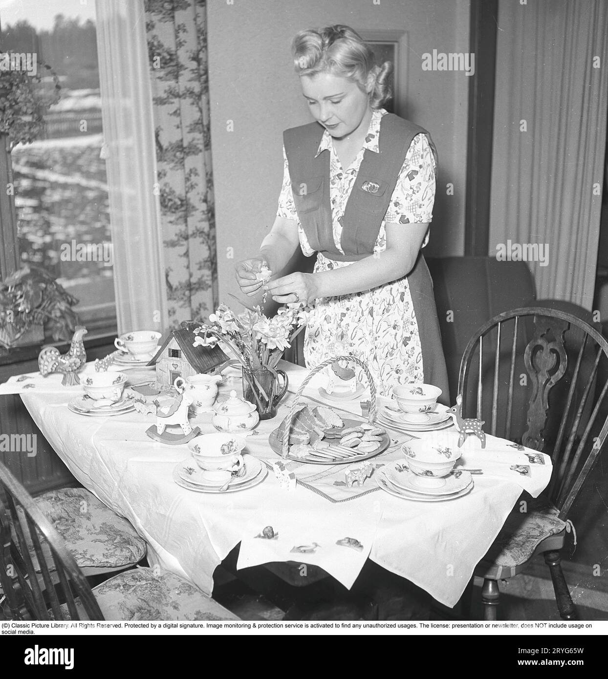 In the 1940s. A woman has set a table for Easter and arranges daffodils to be placed in a vase on the table. The table is set with fine china with double plates. A cake plate with sponge cake and cookies is on the table. An Easter bun is placed on the table. Sweden 1945. Kristoffersson ref N72-5 Stock Photo