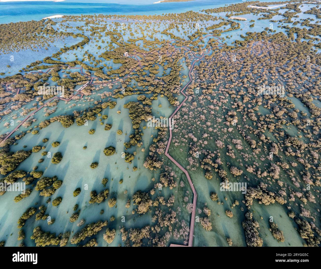 Aerial view of mangroves in Abu Dhabi. Special eco system, natural environment. Stock Photo