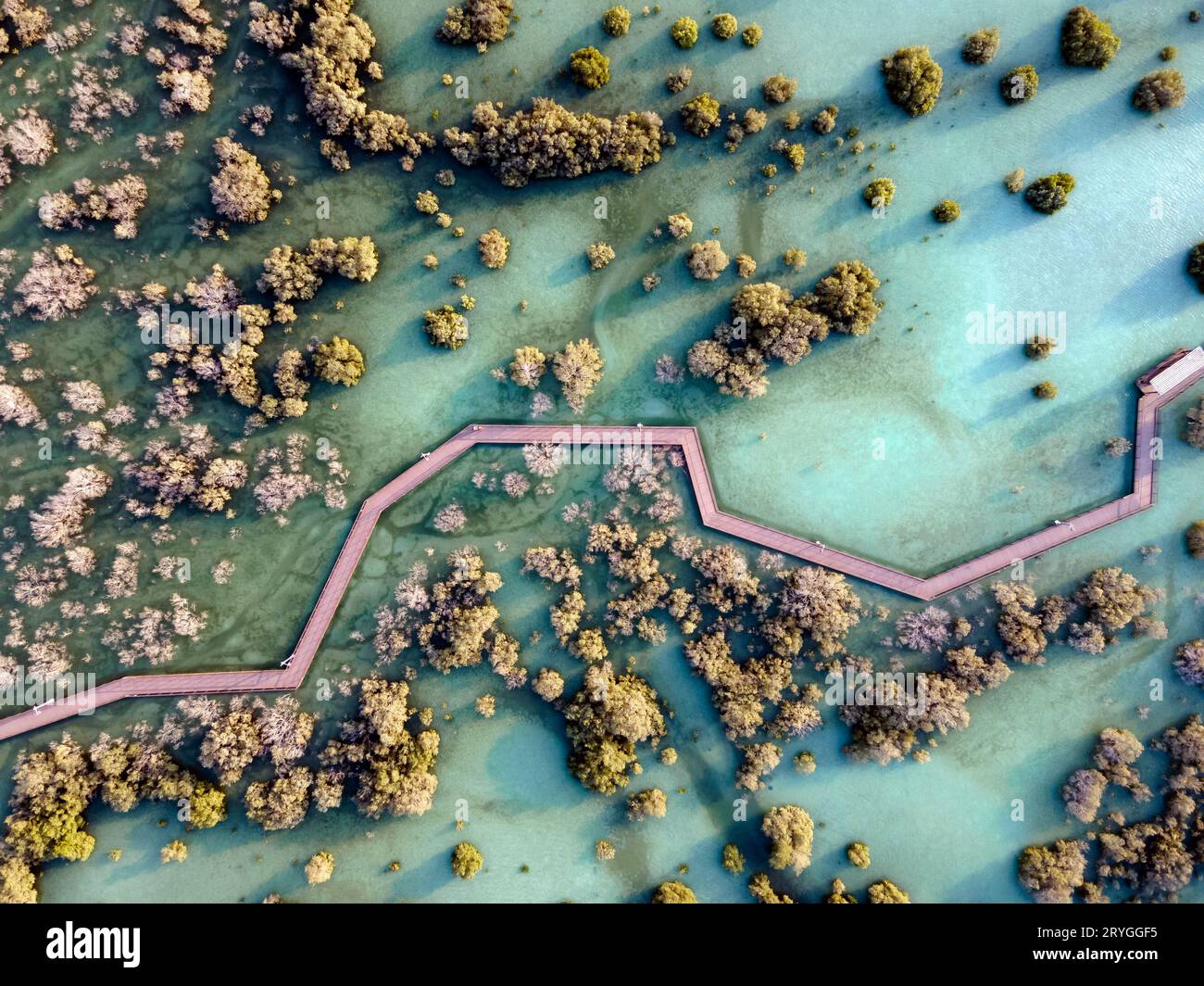 Aerial view of mangroves in Abu Dhabi. Special eco system, natural environment. Stock Photo
