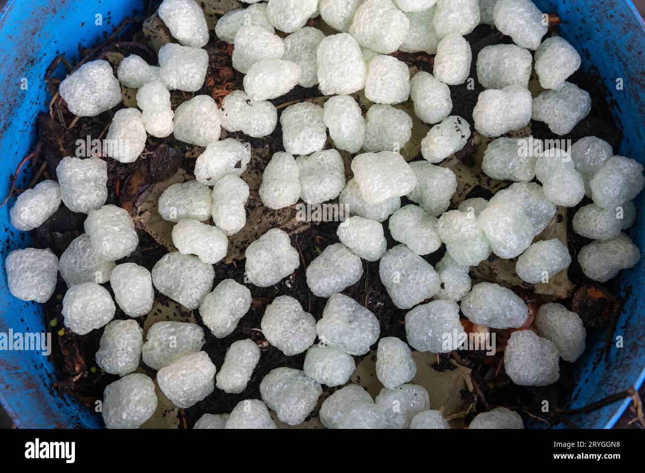 Amsterdam The Netherlands Biodegradable packaging material sent with a
