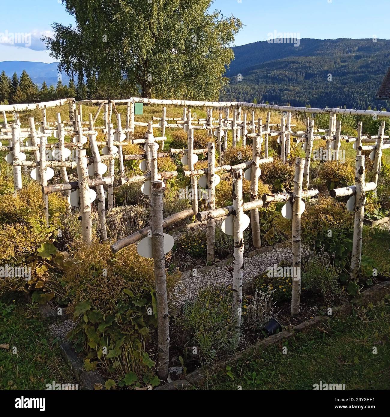 Cemetery or graveyard where dead people are buried Stock Photo Alamy