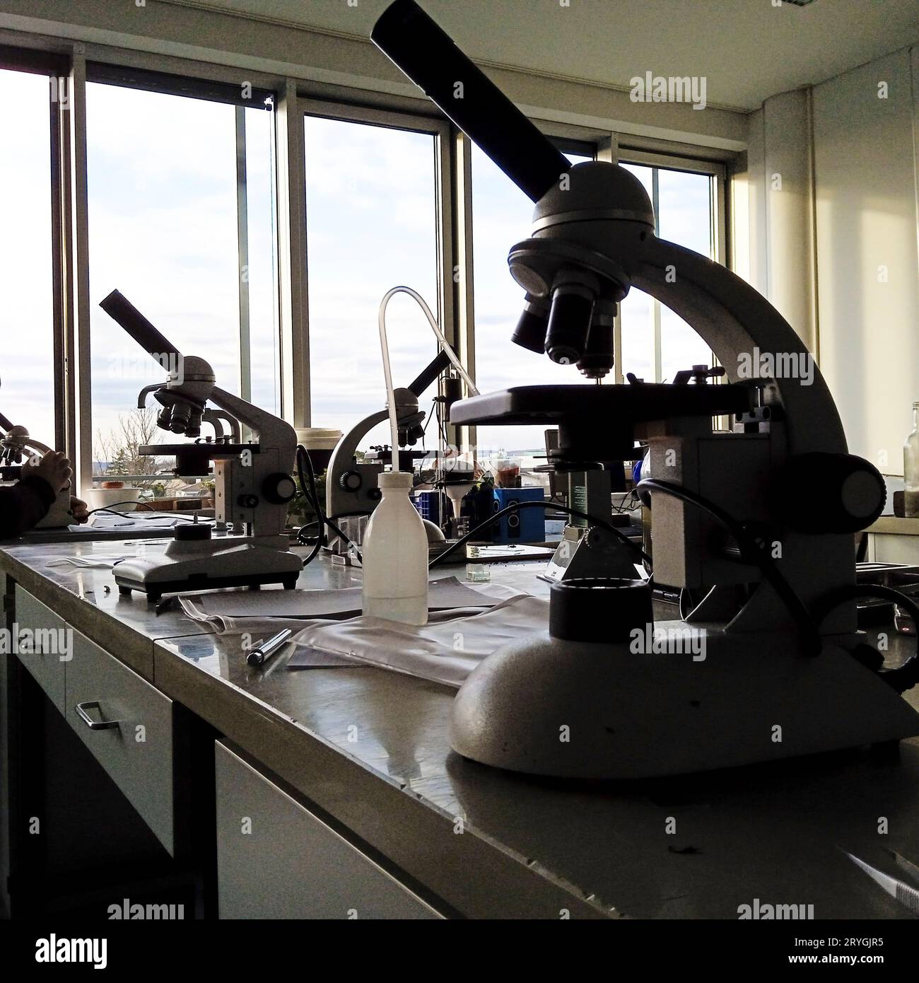 Working with microscope in lab Stock Photo